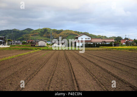 Freshly tilled rows in fertile soil on small Japanese farm Stock Photo