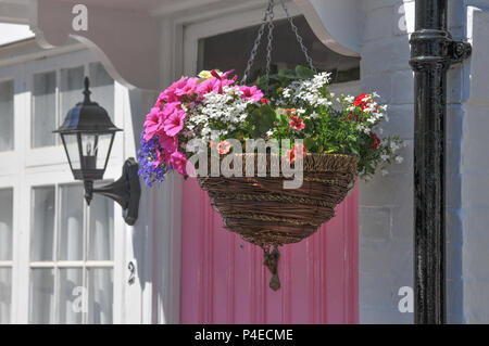 Detailed image of a colourful hanging basket in summer with a pink front door in the background. Hartfield, Kent, UK. Stock Photo