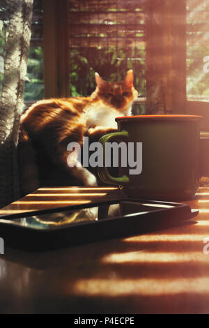 Hot cup of coffee and cell phone on the table with warm morning sunlight coming from window, with yellow cat laying on the windowsill Stock Photo