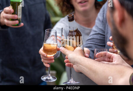 Friends toasting with drinks (lager and prosecco) at an outside social gathering Stock Photo
