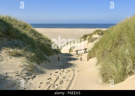 A bench in the sandy path between the dunes with a view to Amrum's wide beach with the blue North Sea on the horizon, 11 May 2018 | usage worldwide Stock Photo