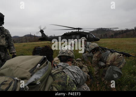 U.S. Army Medics from the 1077th Medical Company (Ground Ambulance), Kansas Army National Guard, carry a simulated casualty to a HH-60M MEDEVAC Black Hawk Helicopter, during a Mass Casualty Training event in support of Golden Coyote, Custer State Park, S.D., June 16, 2018. The Golden Coyote exercise is a three-phase, scenario-driven exercise conducted in the Black Hills of South Dakota and Wyoming, which enables commanders to focus on mission essential task requirements, warrior tasks and battle drills. (U.S. Army photo by Sgt. Gary Silverman) Stock Photo