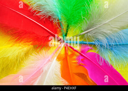 Full frame of colorful feathers Stock Photo