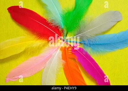 Full frame of colorful feathers Stock Photo