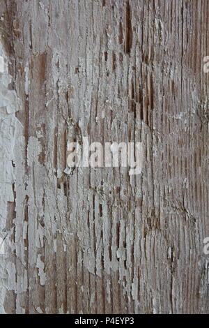 Weathered wooden column of a backyard deck in a standard Chicago home. Stock Photo