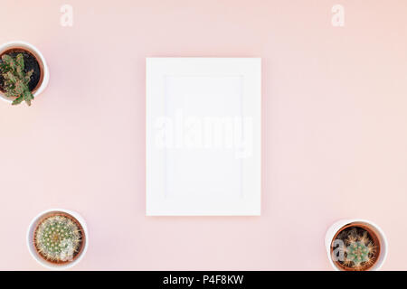 Creative flat lay overhead top view small pots with decorative cactuses plants with copy space on millennial pink paper mock up in minimalism style. F Stock Photo