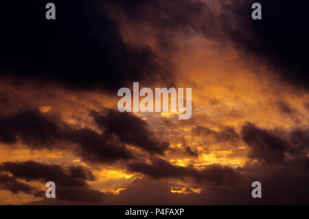 Stratocumulus cumulus clouds with dramatic sunset. Stock Photo