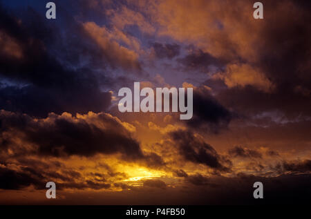 Cumulus congestus clouds with dramatic ominus clouds over Pacific Ocean at sunset with crepuscular rays. Stock Photo