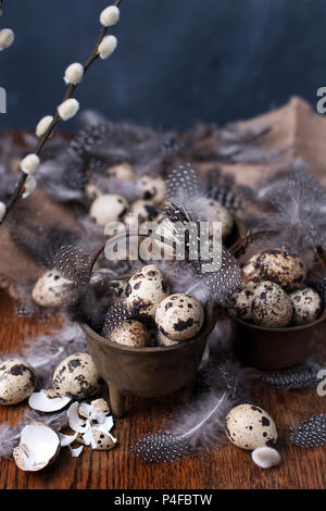Quail eggs and feathers in small buckets of vintage. Branch of the willow tree. Spring decor and Easter. Dark background and space for text. Copy the space Stock Photo