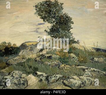 Vincent van Gogh, The Rocks 1888 Oil on canvas. Museum of Fine Arts ...