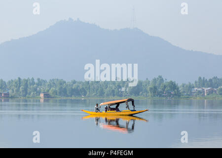 Srinagar, india - June 15, 2017: Man riding a shikara boat on the Dal lake in Srinagar, Kashmir, India. Stock Photo