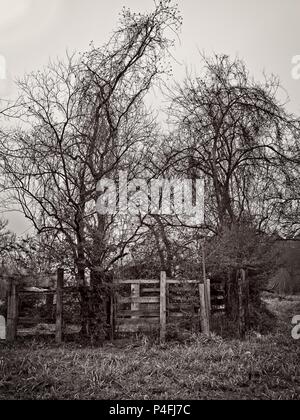 Spring TX USA - Feb. 6 2018  -  Old Abandoned Corral on a Foggy Afternoon in B&W Stock Photo