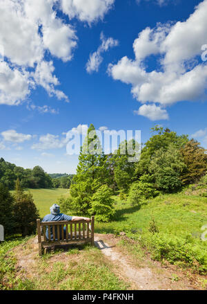 Man sitting on a bench overlooking a green valley. Stock Photo