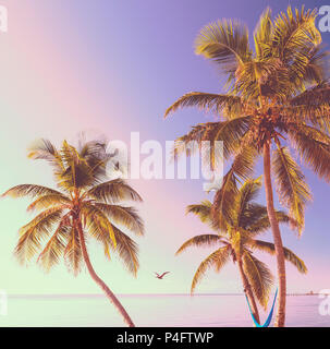 Hammock suspended on palmtrees as retro tropical beach background