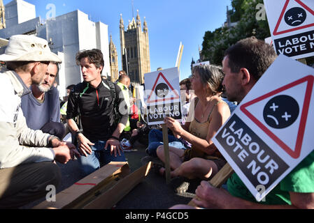 Parliament Square,  London, UK. 22nd June 2018. 'Vote No Heathrow' protest group stage a sit down protest in the middle of the road stopping traffic at Parliament Square protesting against the expansion of Heathrow Airport Credit: Matthew Chattle/Alamy Live News Stock Photo