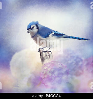 Blue Jay Watercolor Painting. Realistic Blue Jay Painting