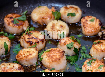 Delectable scallops in a garlic and lemon butter sauce Stock Photo