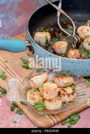 Preparing and plating Sea scallops Stock Photo