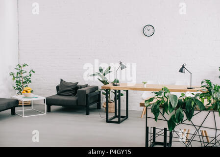 interior of modern office with furniture, plants and clock on wall Stock Photo