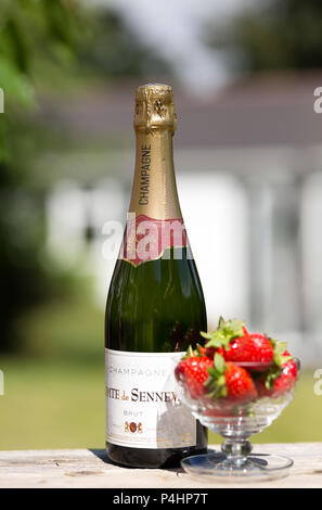 Close up unopened bottle of champagne & dish of fresh British strawberries in summer outdoors garden party/village fete. Stock Photo