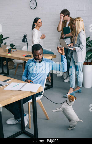 african american businessman playing with dog on leash and coworkers having meeting behind in modern office Stock Photo