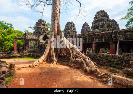 Ta Prohm or Prasat Taprohm is the temple at Angkor in Siem Reap in Cambodia Stock Photo