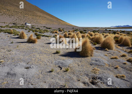 Farallon de Tara, plateau overlooking salt lake with 4WD in background Stock Photo