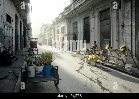 Havana Cubu at dawn. Typical residential street in Centro with parked cars and very little traffic. Stock Photo