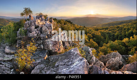 Sunset in forest with rocky mountain hill Stock Photo