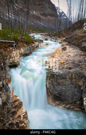 Marble Canyon in Kootenay National Park, British Columbia, Canada Stock Photo