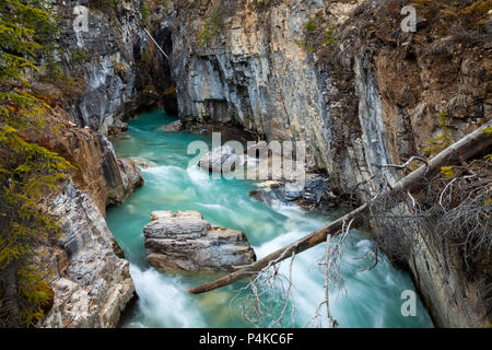 Marble Canyon in Kootenay National Park, British Columbia, Canada Stock Photo