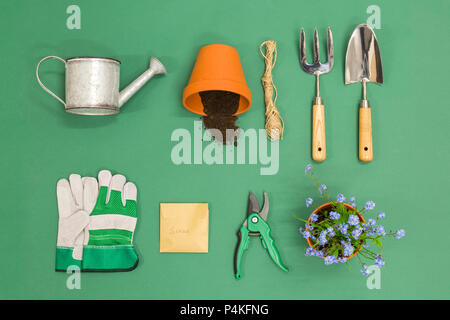 A flat lay arrangement of Gardening equipment on a green background Stock Photo