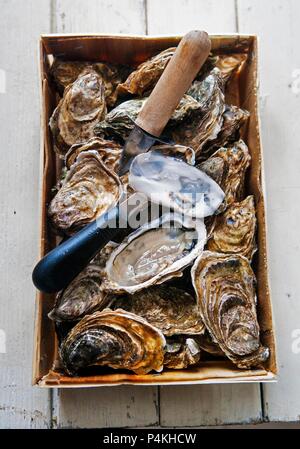 Fresh oysters (Marennes D'Oleron) with a knife in a basket Stock Photo