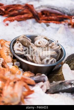 Squid, mussels and prawns on ice Stock Photo