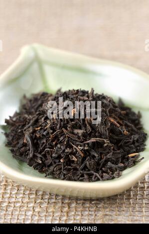Black tea in a leaf-shaped dish Stock Photo