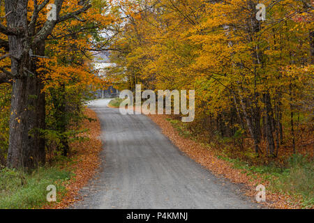 Tree lined road in autumn, Danville, Vermont Stock Photo