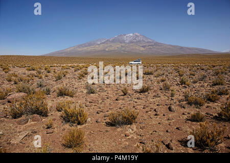 Salar de Tara 4WD in Natural Reserve, San Pedro de Atacama Stock Photo