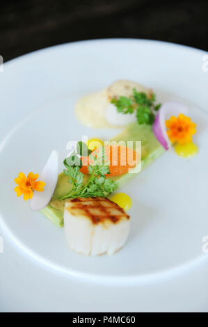 Grilled scallops with herbs and edible flowers Stock Photo
