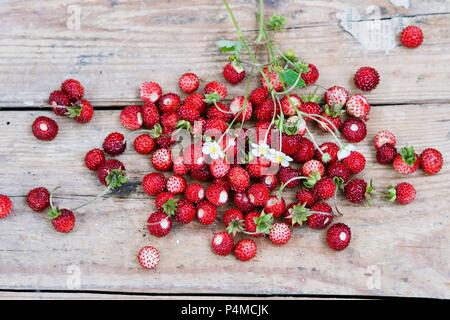 Wild strawberries with leaves and flowers on a wooden surface Stock Photo