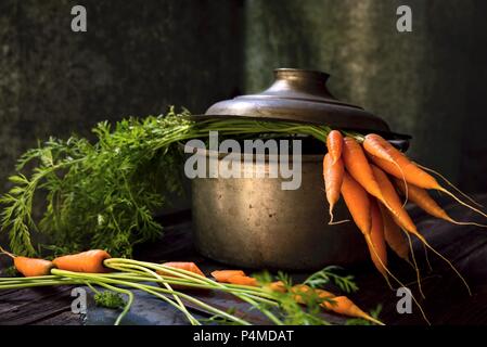 Fresh carrots in a cooking pot Stock Photo