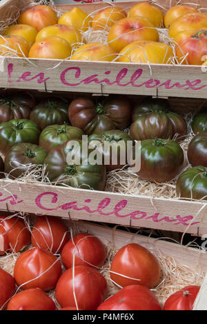 tomato selection at vegetable market Stock Photo