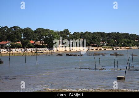 Oyster culture in the village of Piraillan, Bassin d'Arcachon, Gironde, France Stock Photo