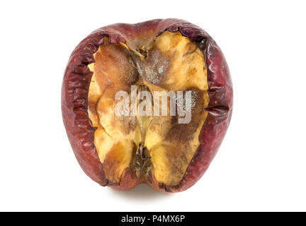 Rotten, moldy apple Stock Photo - Alamy