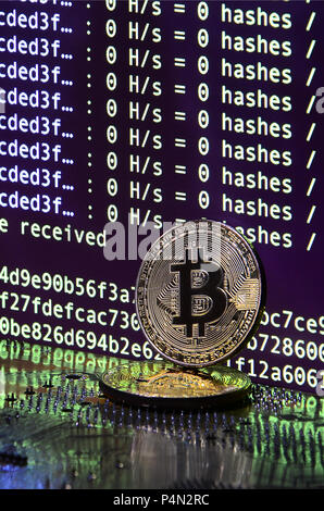 Two bitcoins lies on a videocard surface with background of screen display of cryptocurrency mining by using the GPUs . Stock Photo