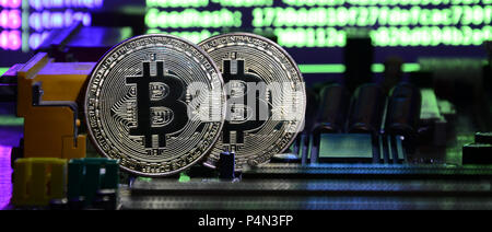 Two bitcoins lies on a videocard surface with background of screen display of cryptocurrency mining by using the GPUs . Stock Photo