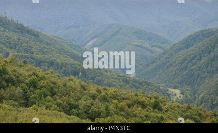 Fragment of the mountainous terrain in the Carpathians, Ukraine. The forest is forgiven by the reliefs of the Carpathian Mountains Stock Photo