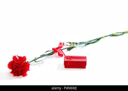 Red carnation with red gift box, isolated on a  white background Stock Photo
