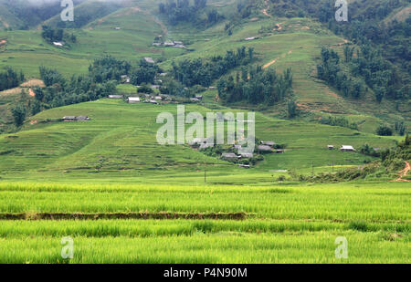 Landscape with rice fields and small villages in the mountains of Sapa area in Vietnam Stock Photo