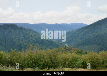 Fragment of the mountainous terrain in the Carpathians, Ukraine. The forest is forgiven by the reliefs of the Carpathian Mountains . Stock Photo