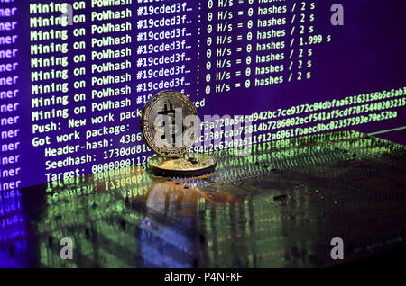 Two bitcoins lies on a videocard surface with background of screen display of cryptocurrency mining by using the GPUs . Stock Photo